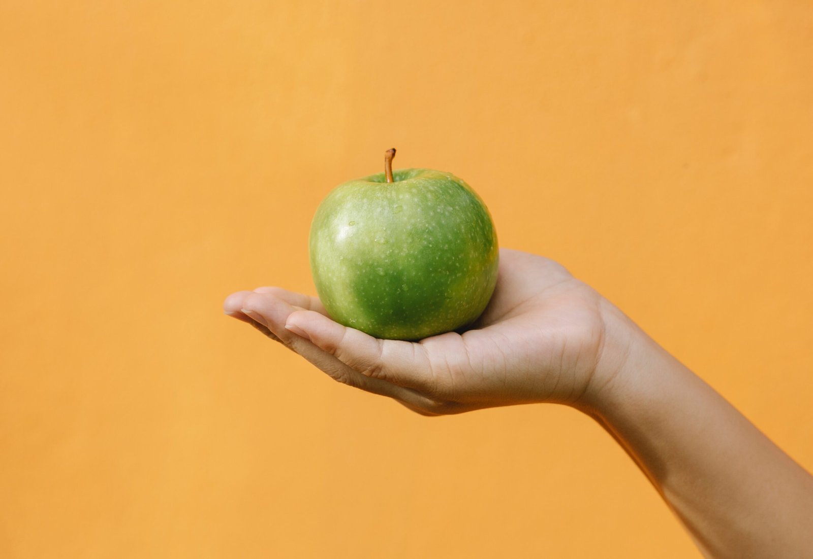 Alimentação e Diabetes Como Controlar a Doença Através de Escolhas Saudáveis