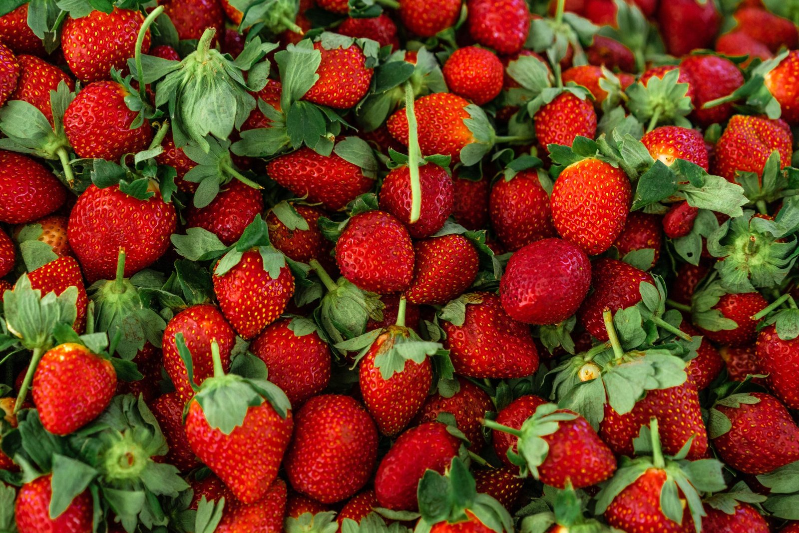 Quantas frutas um diabético pode comer diariamente?
