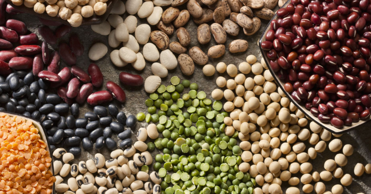 Diabético pode comer feijão? Este artigo discute a importância do feijão na dieta de pessoas com diabetes. Abordando o índice glicêmico e os benefícios nutricionais do feijão, conclui que diabéticos podem e devem incluí-lo na alimentação, desde que de maneira controlada e com o devido acompanhamento médico.
