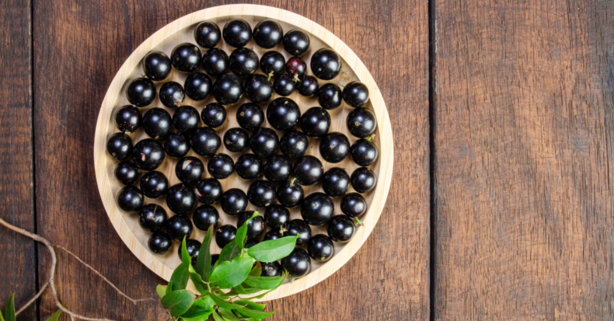 DDiabetico Pode Comer Jabuticaba