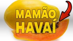 QUEM TEM DIABETES PODE COMER MAMÃO HAVAÍ?