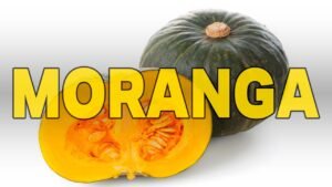QUEM TEM DIABETES PODE COMER ABÓBORA MORANGA?
