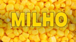 QUEM TEM DIABETES PODE COMER MILHO? Descubra agora com as dicas!