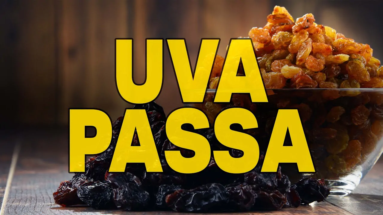 Quem tem Diabetes pode comer Uva passa?