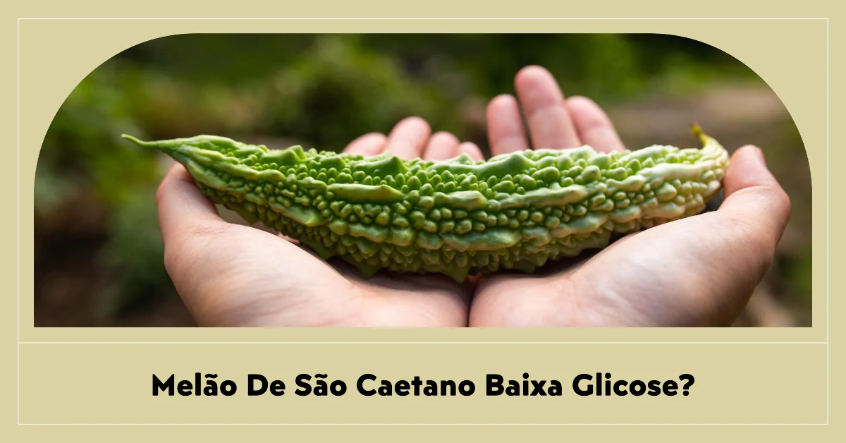 Melão de São Caetano baixa glicose? Este artigo explora o potencial do melão de São Caetano (Momordica charantia) como um auxiliar natural no controle da glicose para pessoas com diabetes. Avaliando evidências científicas, benefícios adicionais à saúde e orientações de uso, proporciona um guia abrangente sobre como esta planta pode contribuir para a redução dos níveis de açúcar no sangue. Embora mostre promessa, o artigo reforça a importância de usar o melão de São Caetano sob supervisão médica, destacando seu potencial junto com precauções necessárias para evitar efeitos colaterais.