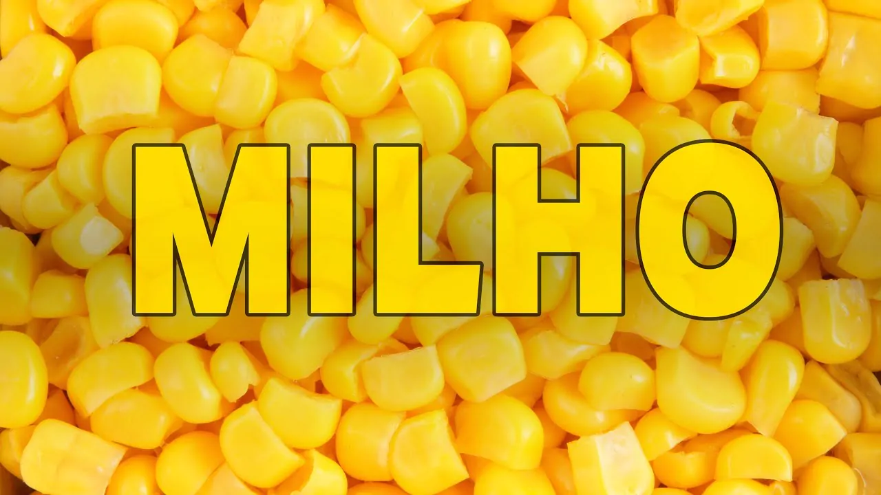 QUEM TEM DIABETES PODE COMER MILHO? Descubra agora com as dicas!